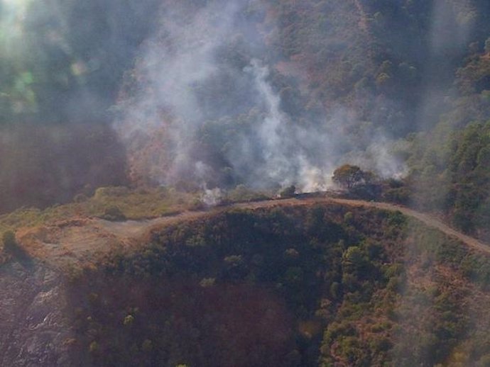 Estepona incendio velerín paraje forestal medio aéreo infoca