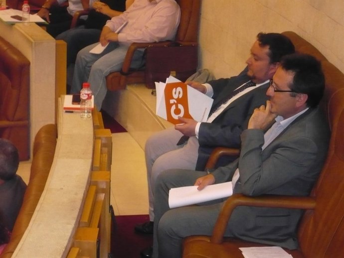 Los diputados de Ciudadanos