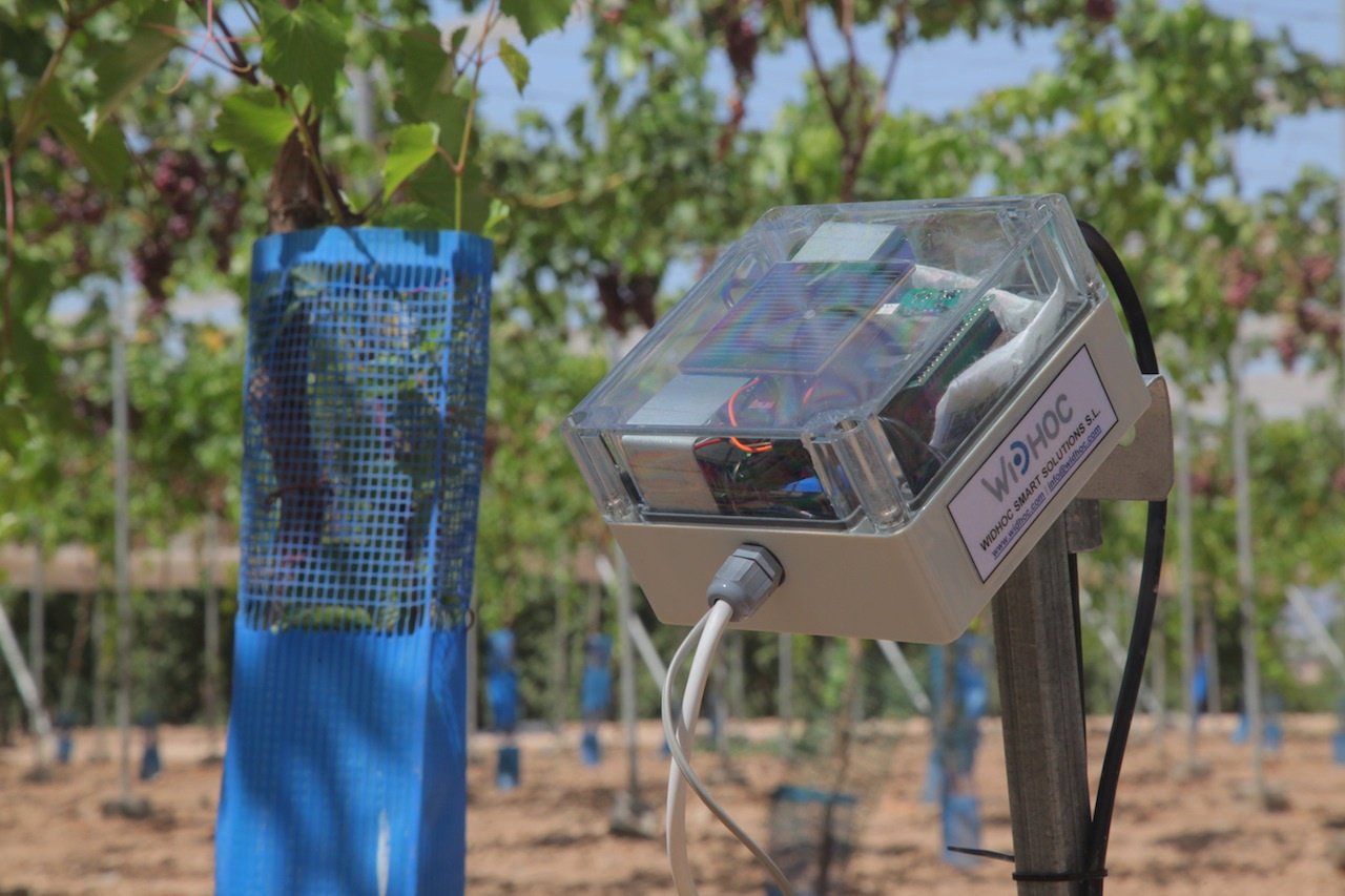 Red de riego 'inteligente' para una gestión personalizada del agua en cultivos
