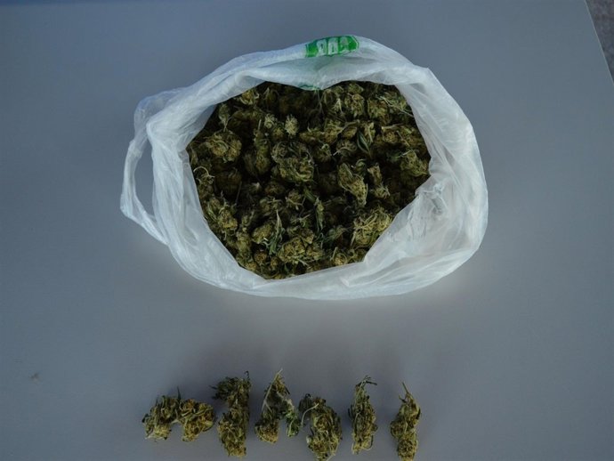 Marihuana intervenida al detenido. 