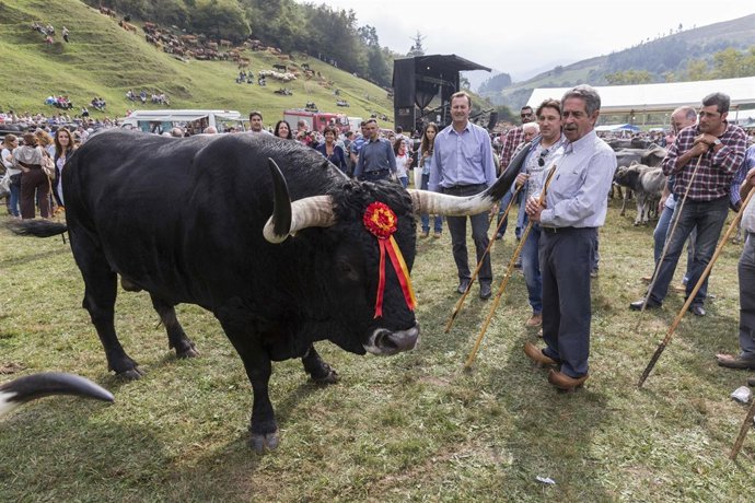 Revilla en la feria de ganado de Puentenansa