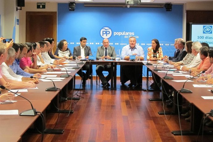 Comisión Sectorial de Urbanismo, Infraestructuras y Vivienda del Partido Popular