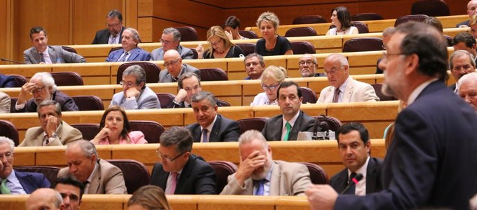 Rajoy, ante el hemiciclo en el Pleno del Senado