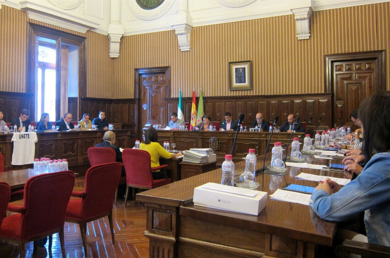 Celebración de pleno ordinario en la Diputación de Jaén.