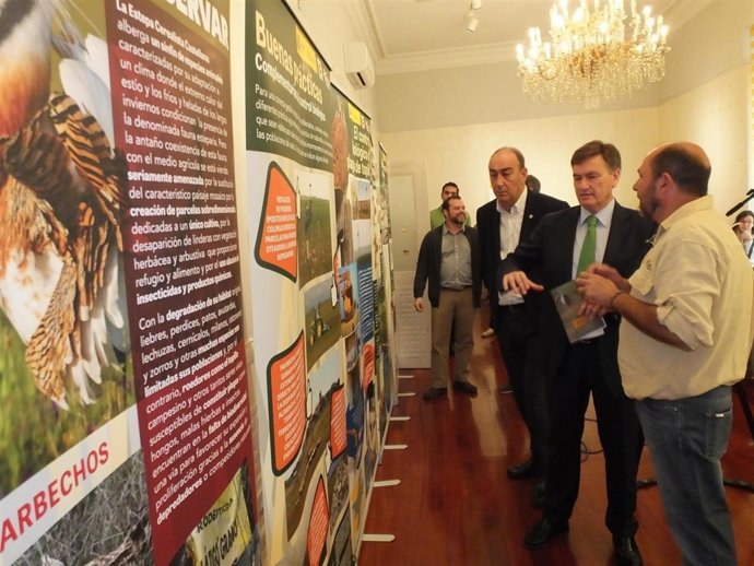 Presentación de la muestra del Grefa