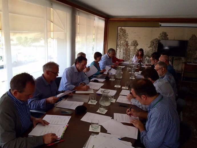 Consejo de Administración de Emaya