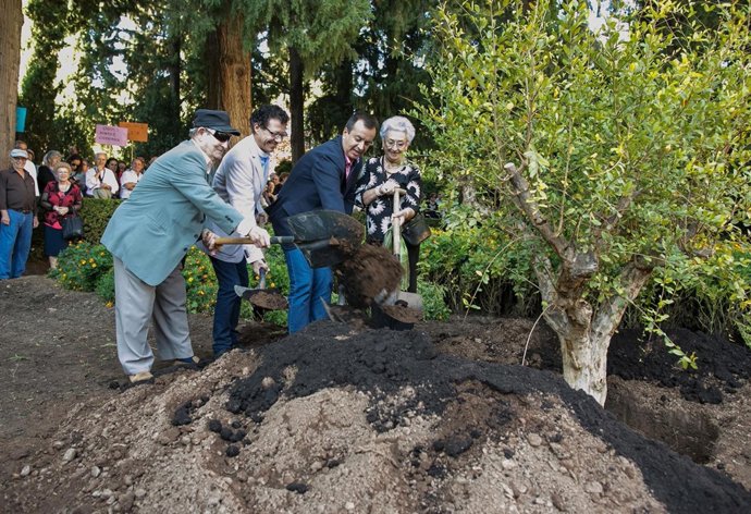 Mayores plantan un árbol en la Alhambra