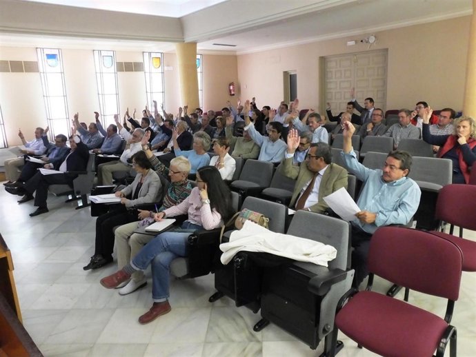 Asamblea del Consorcio de Medio Ambiente