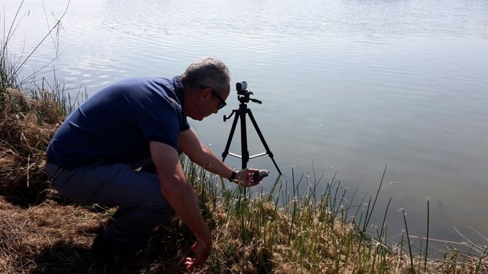 Quinta suelta de galápagos europeos en el Tancat de Milia