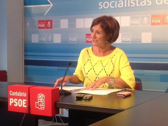 Puerto Gallego en rueda de prensa