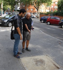 Alcorque sellado en el distrito Sur.