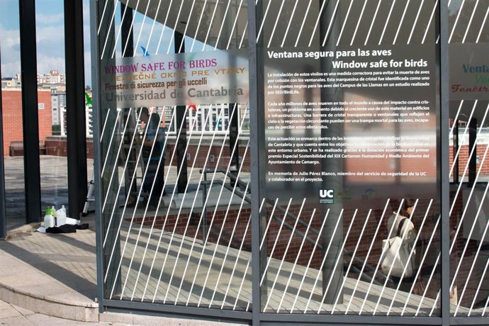 Ventana segura para las aves