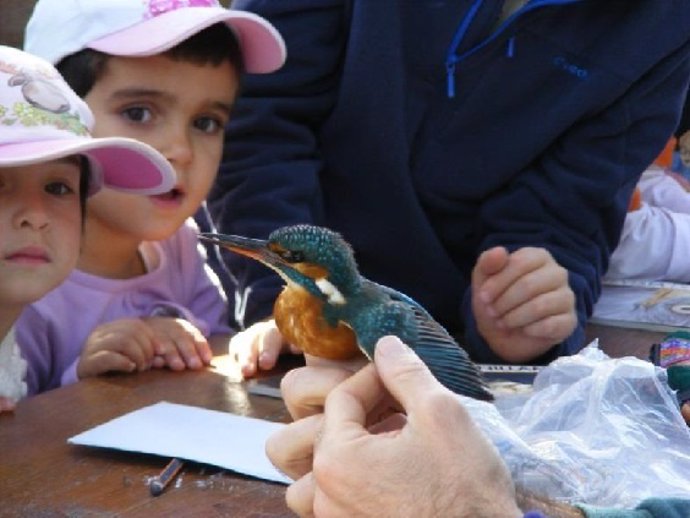 Día de las Aves