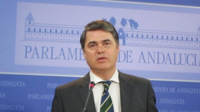 El portavoz del PP en el Parlamento andaluz, Carlos Rojas