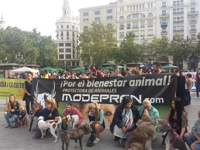 Manifestación "por el cambio también para los animales" en Valencia