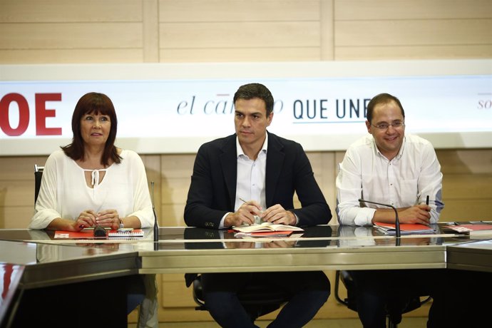 Pedro Sánchez preside la Comisión Ejecutiva Federal del PSOE