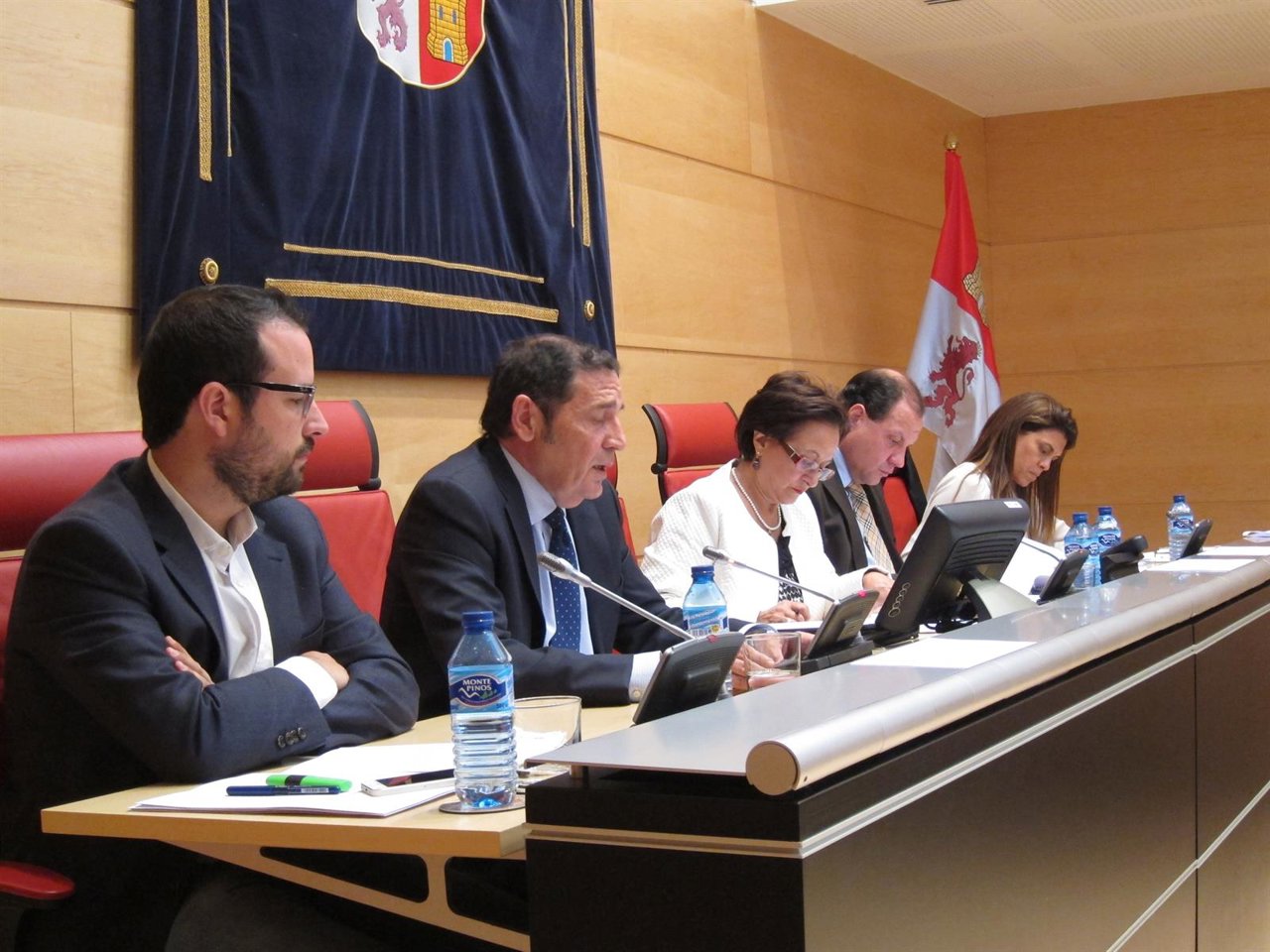 Sáez Aguado, durante su comparecencia en las Cortes. 