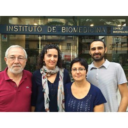 Investigadores descubren mutaciones genéticas responsables de una paraplejia