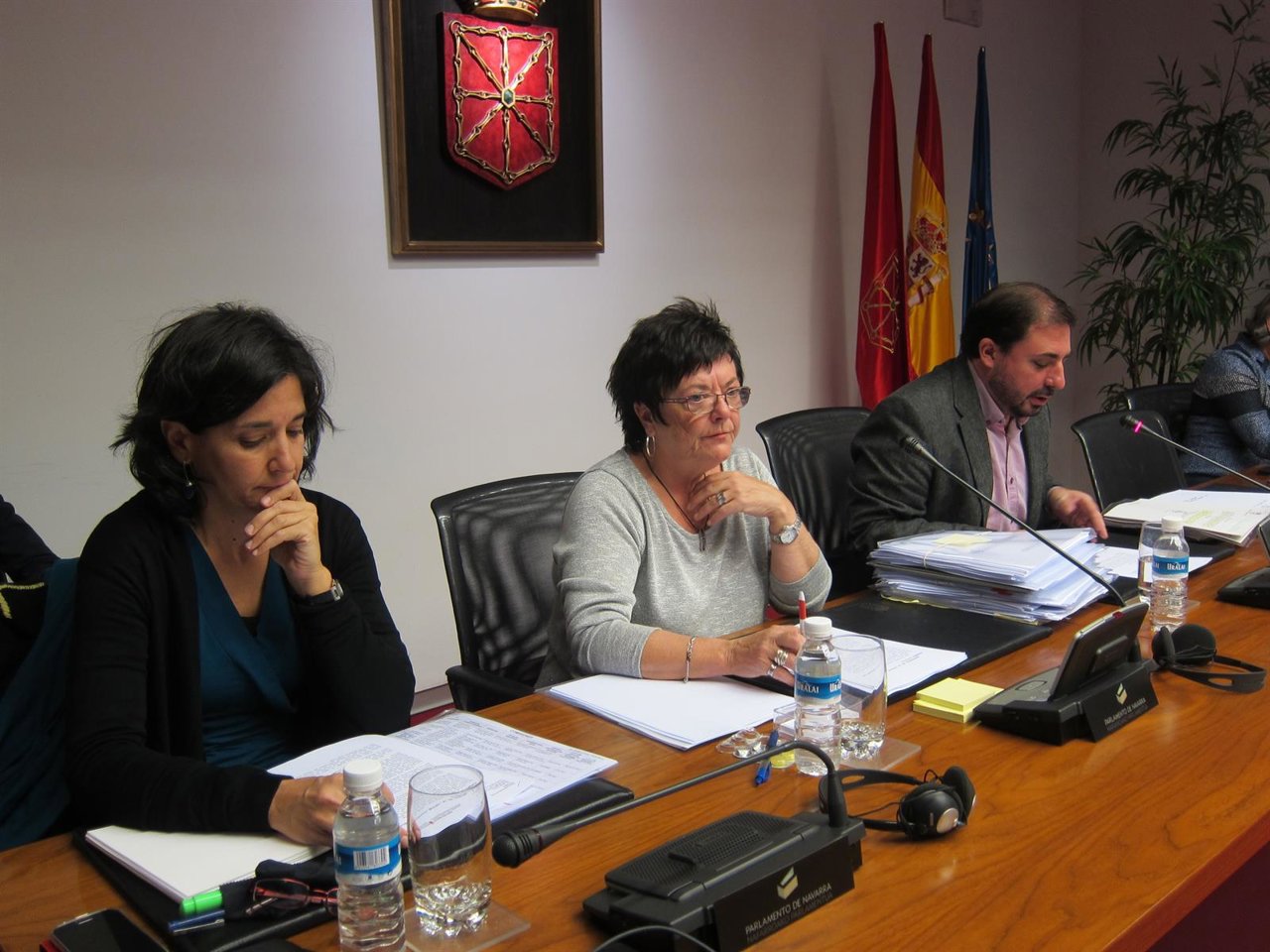 María José Beaumont en comisión parlamentaria