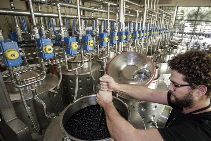 Bodega de microvinificación de Torres