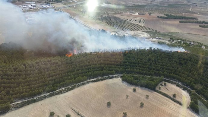Incendio forestal en Cabezo del Doctor