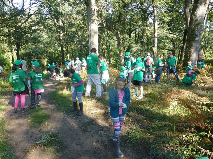Recogida de semillas y frutos silvestres en Voto