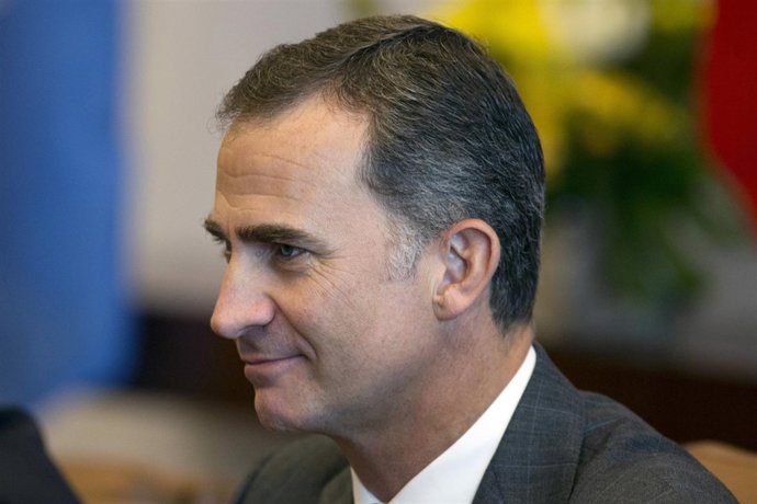 El Rey Felipe VI