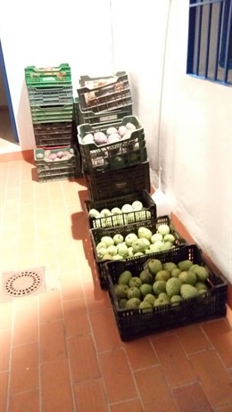 Fruta y tubérculos intervenidos en Vélez-Málaga