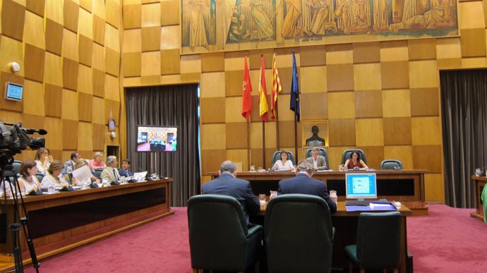Pleno ordinario del Ayuntamiento de Zaragoza.