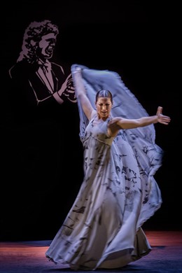 Sara baras espectáculo málaga cervantes homenaje flamenco