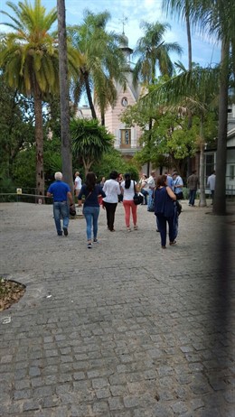 Visitas a los jardines botánicos de la Casa Rosa