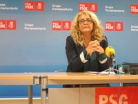 El PSdeG celebra la “vuelta a la normalidad” en la Diputación de Lugo