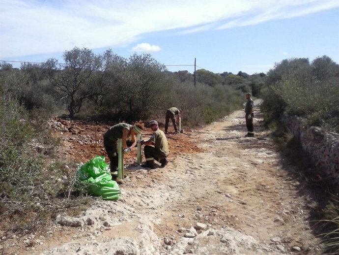 Limpieza parque Mondragó