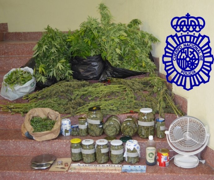 Material intervenido