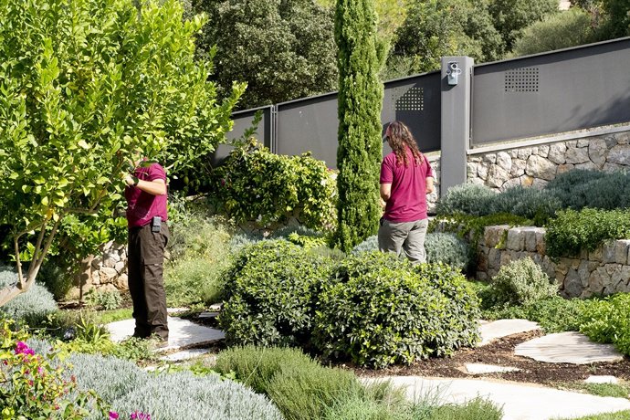 Incorpora Salut Mental Obra Social la Caixa