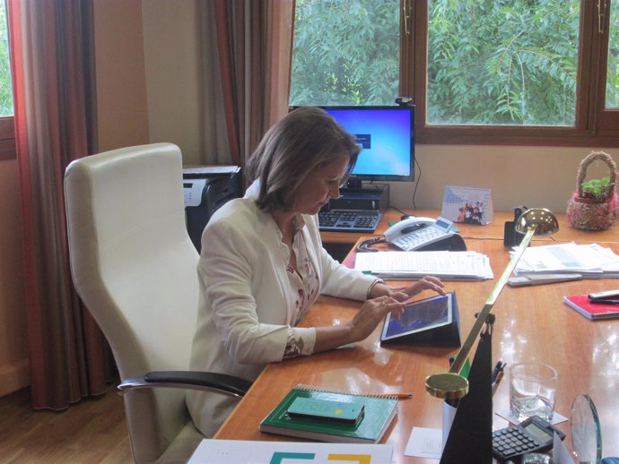 La delegada del Gobierno, Ana Cobo, en su despacho