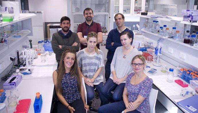 Investigadores de Navarrabiomed