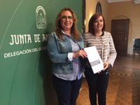 Primer protocolo en España ante la violencia de género en redes sociales