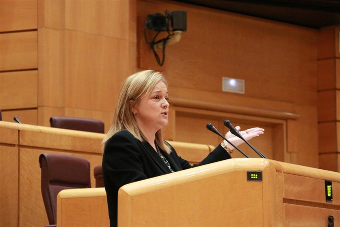 María Eugenia Iparragirre en la tribuna de oradores del Senado