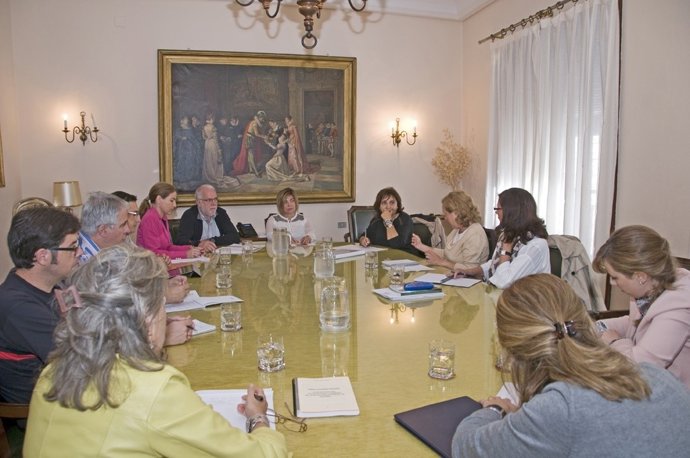 Reunión Comisión Transversal de Género de la Diputación de Cáceres