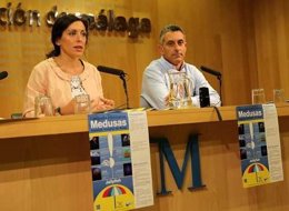 Infomedusa diputación aplicación móvil descargas balance