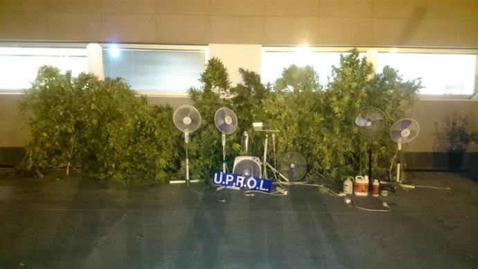 Imagen de las sustancias intervenidas