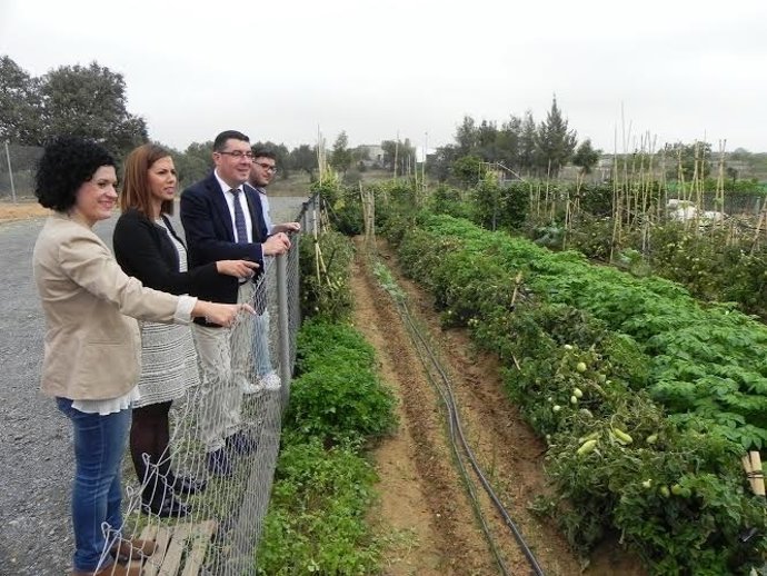 La delegada de Fomento en Huelva, María José Bejarano.