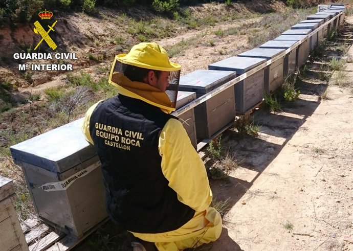 SUSTRACCIÓN DE COLMENAS