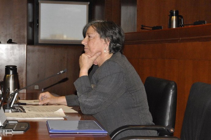 Directora general de Investigación e Innovación de Aragón, María Teresa Gálvez