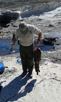 Medio Ambiente decomisa 30 kilos de pescado en Cabo de Gata