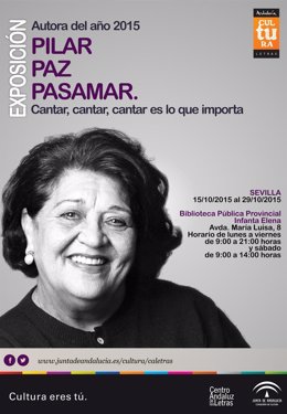 Muestra sobre Pilar Paz Pasamar en Sevilla