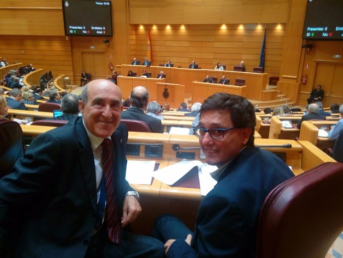 Los senadores de Ciudadanos Luis Crisol y Tomás Marcos