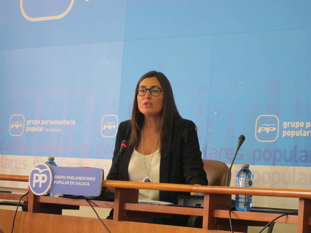 El PP presenta sus propuestas de resolución 