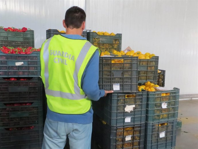Pimientos robados en una finca de Adra